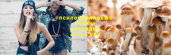 МДМА Волоколамск