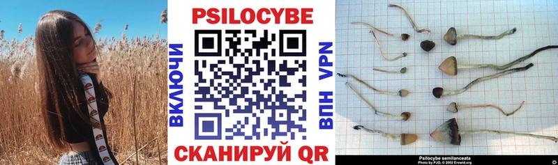 купить наркоту  Уссурийск  Галлюциногенные грибы мицелий 