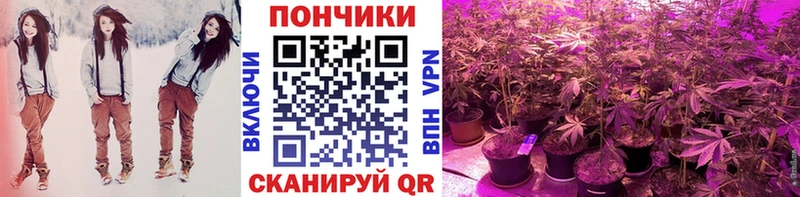 МАРИХУАНА THC 21%  где найти   Уссурийск 